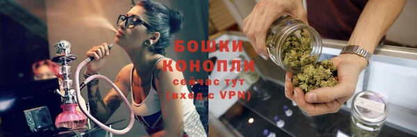 прущие грибы Кулебаки