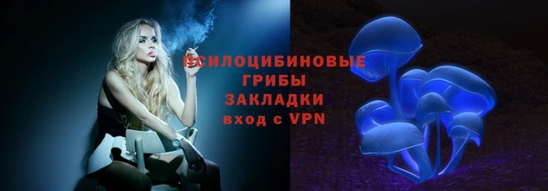 прущие грибы Кулебаки