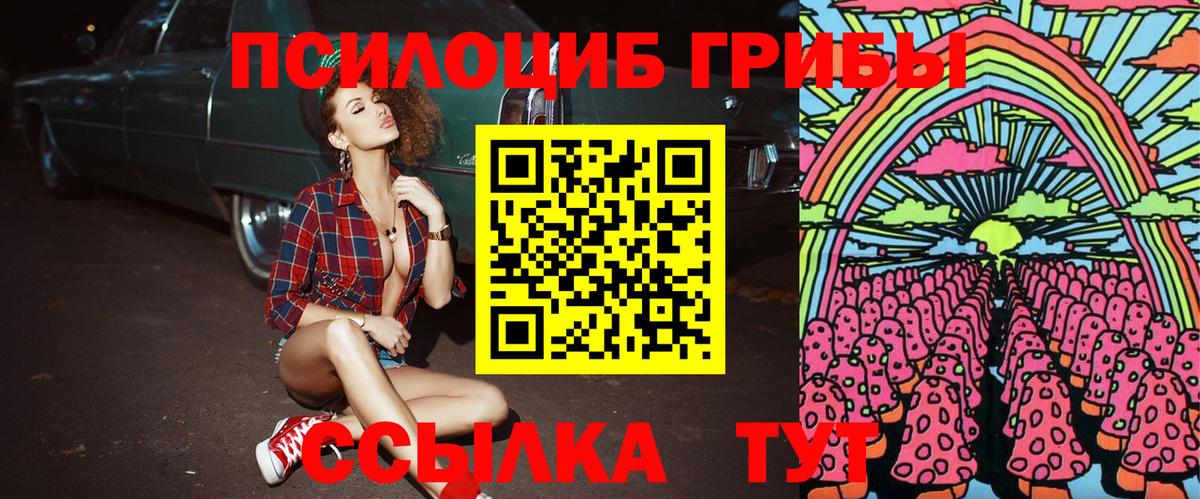 Псилоцибиновые грибы Magic Shrooms Тихорецк