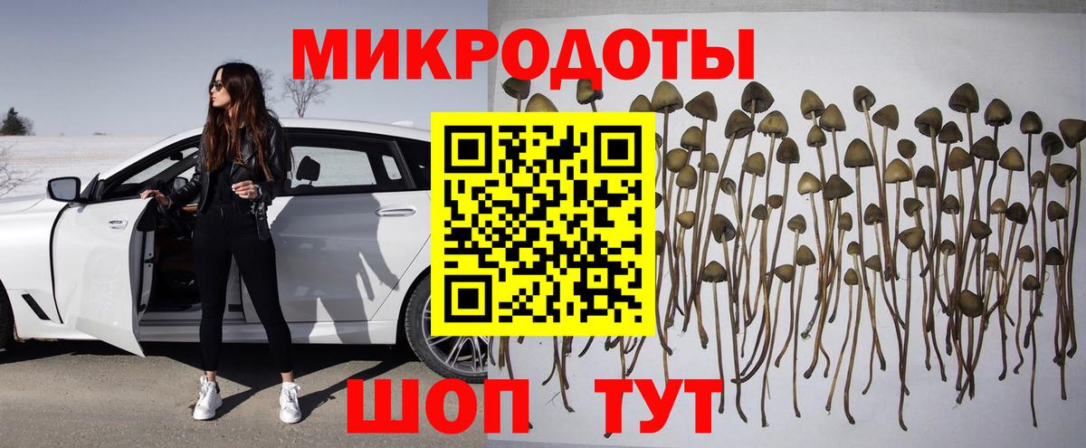 Галлюциногенные грибы GOLDEN TEACHER  Галлюциногенные грибы Psilocybine cubensis  Вход с VPN  Тихорецк 