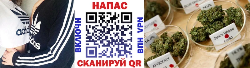 Бошки Шишки White Widow  дарнет шоп  Тихорецк 